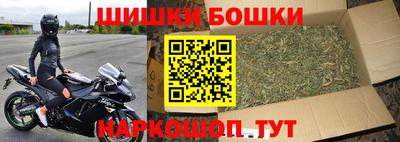 шишки Ставрополь