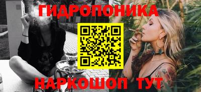 шишки Ставрополь