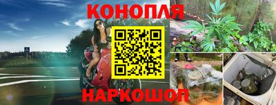 шишки Ставрополь